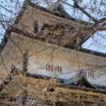 北陸ぐっさん さんのプロフィール写真