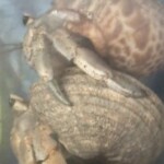 tomo さんのプロフィール写真